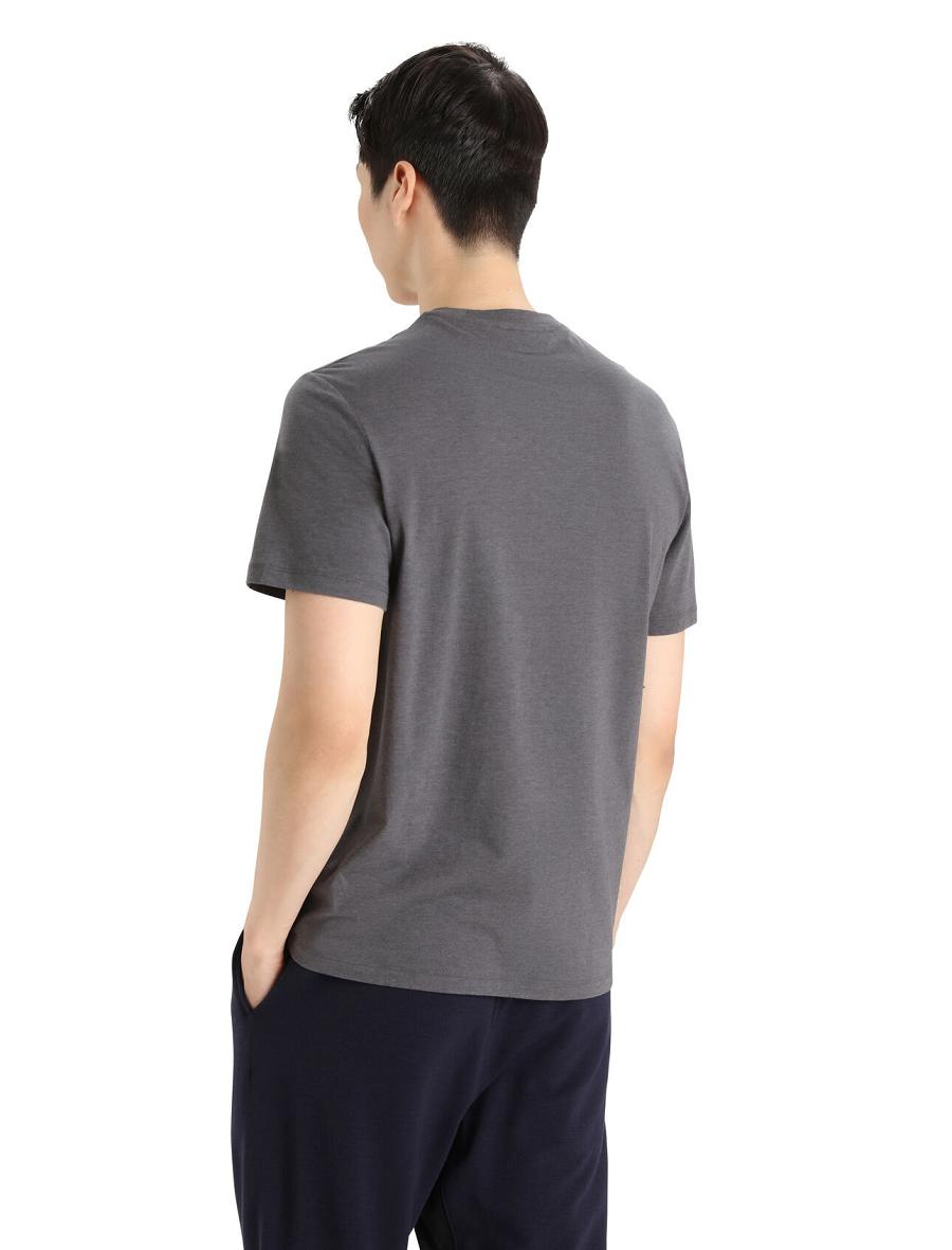 Men's Icebreaker Merino Central Classic Short Sleeve T Shirts Monsoon | CA 1803YXFU